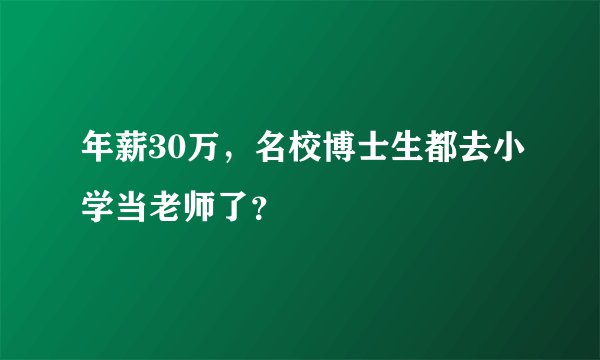 年薪30万，名校博士生都去小学当老师了？