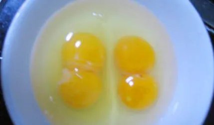 鸡总下双黄蛋是什么原因