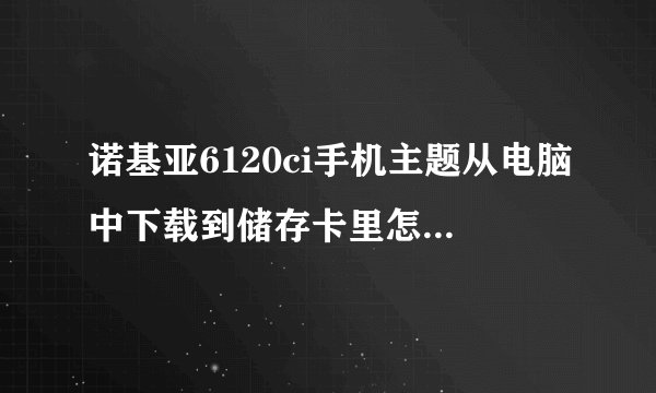诺基亚6120ci手机主题从电脑中下载到储存卡里怎么找不到啊？