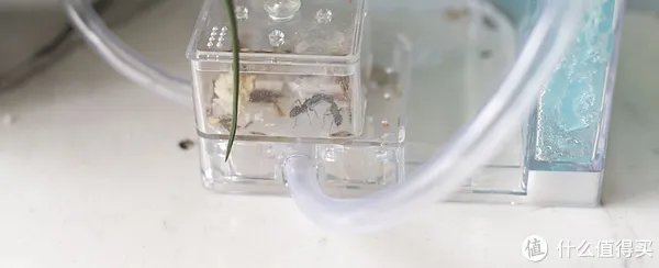 闻香识女人:翻一翻自家女王的小众香水