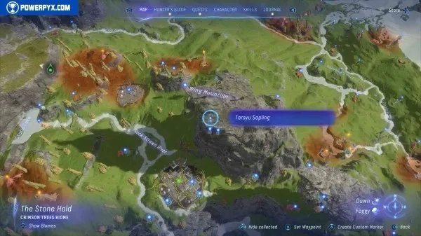 《阿凡达潘多拉边境》塔休幼苗位置汇总 塔休幼苗收集攻略