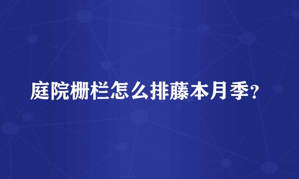 庭院栅栏怎么排藤本月季？
