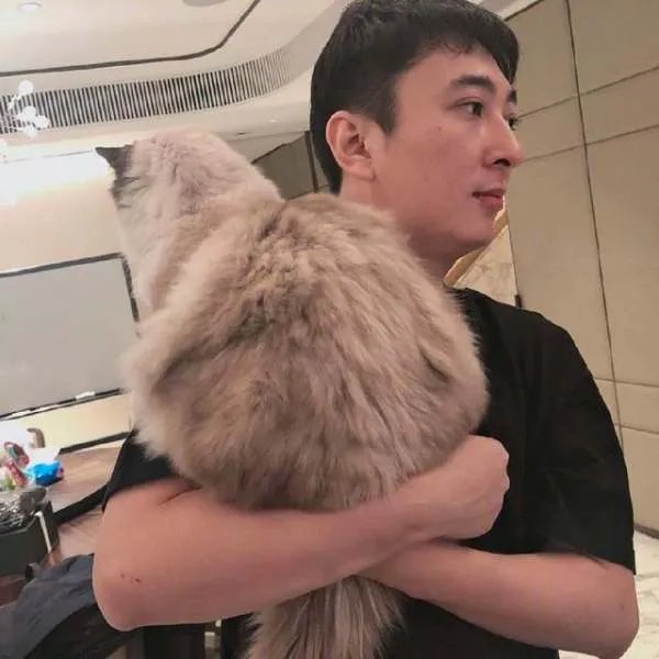 王思聪舔了四年都没有拿下的孙一宁，到底有多美？