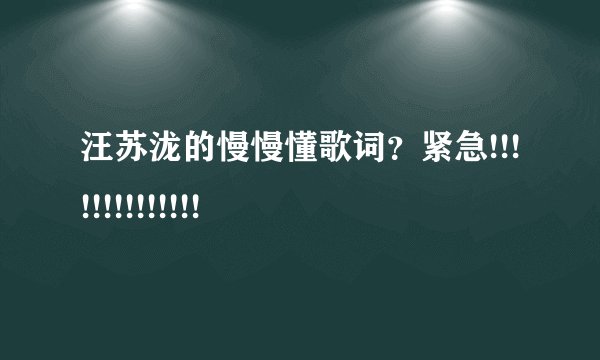 汪苏泷的慢慢懂歌词？紧急!!!!!!!!!!!!!!