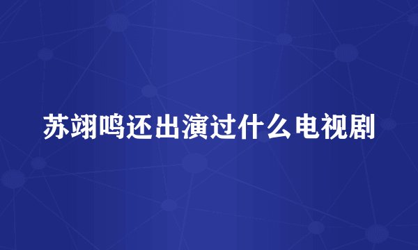 苏翊鸣还出演过什么电视剧