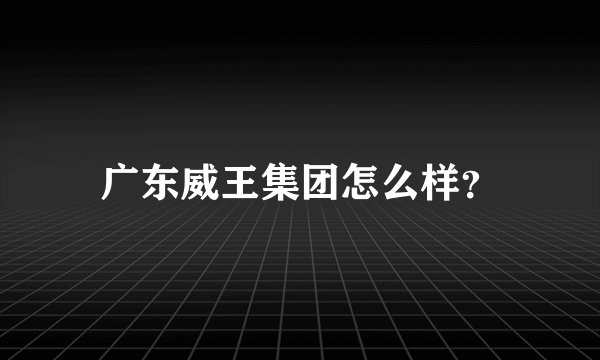广东威王集团怎么样？