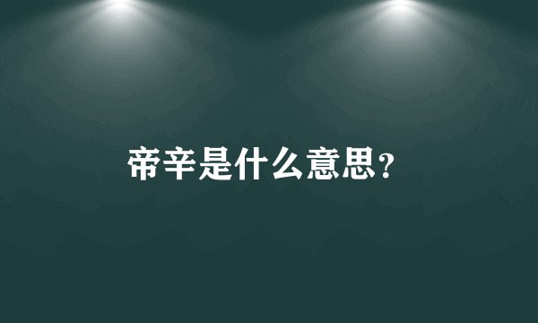 帝辛是什么意思？