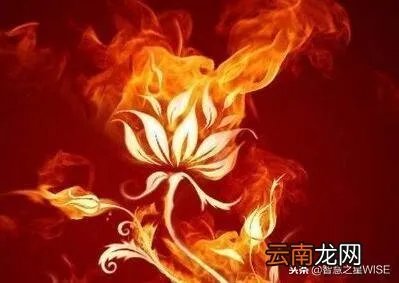 斗破苍穹萧炎最强大的对手是谁 斗破苍穹ol哪个职业厉害