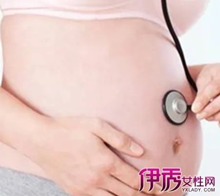 怀孕六个月胎儿位置图