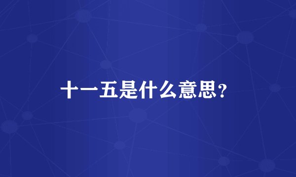 十一五是什么意思？