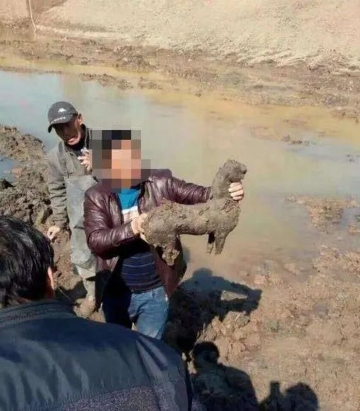 扩建鱼塘挖出古墓是真的吗?