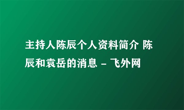 主持人陈辰个人资料简介 陈辰和袁岳的消息 - 飞外网