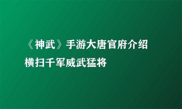 《神武》手游大唐官府介绍 横扫千军威武猛将