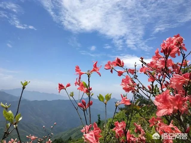 定制旅行怎么样?