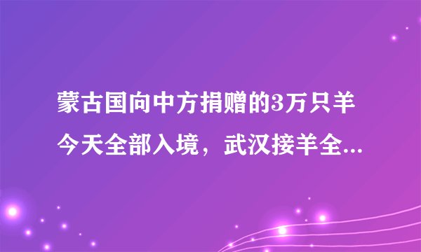 蒙古国向中方捐赠的3万只羊今天全部入境，武汉接羊全程可视可控