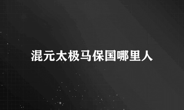 混元太极马保国哪里人
