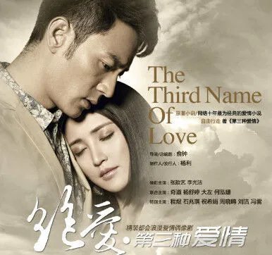 爱情电视剧绝爱剧情介绍 改编自《第三种爱情》