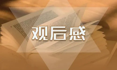 2021年央视开学第一课学生观后感作文