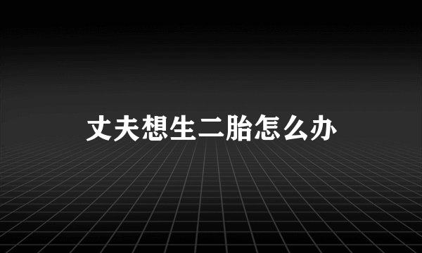 丈夫想生二胎怎么办