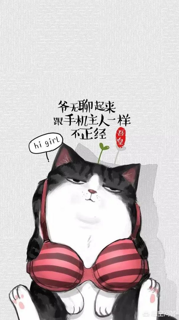 有哪些搞笑的手机壁纸？