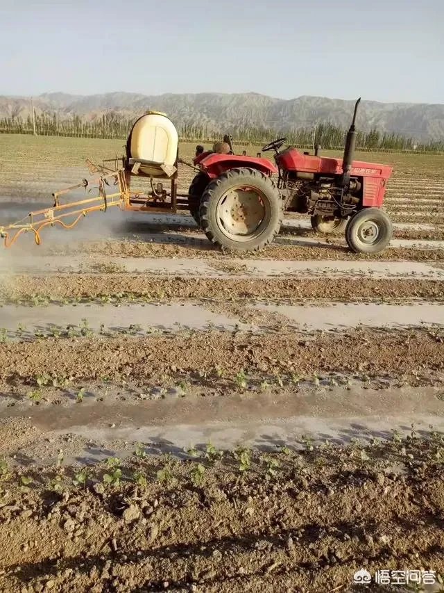 今年棉花价格走势会持续下跌吗？有没有对策？