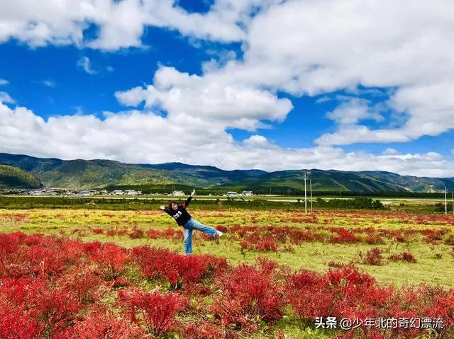 过年去云南旅游，合适吗？
