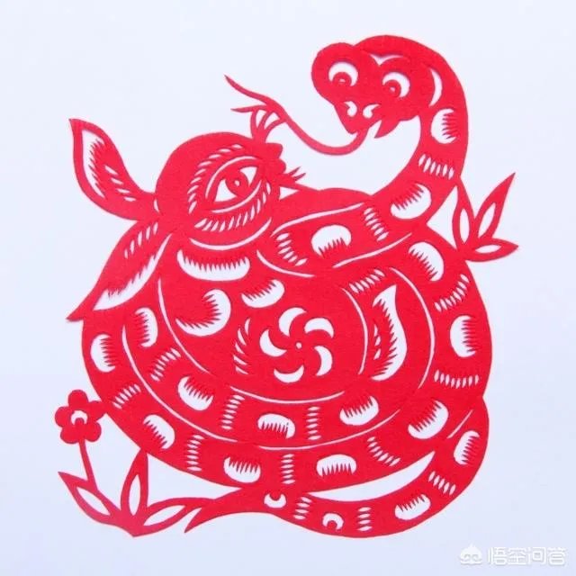 为何家里进的蛇不能打?