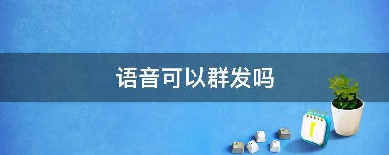 语音可以群发吗