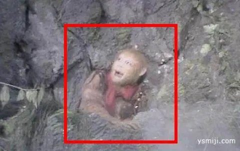 西游记中这一真相骗了我们30年：这些谜团你真不懂