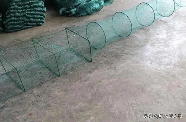 地笼捕鱼一般能捕多大的?要注意什么?