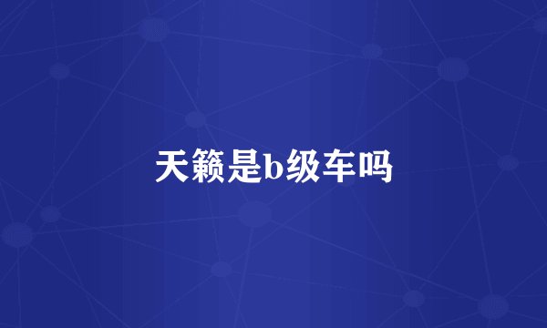 天籁是b级车吗