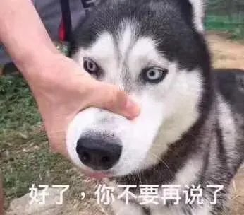 游客在八达岭野生动物园猛兽区开窗投食，被黑熊咬伤手臂，你怎么看？