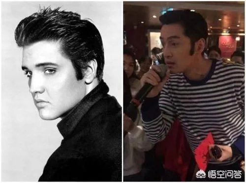 胡歌自己的公司