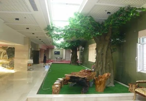 榕树有什么寓意