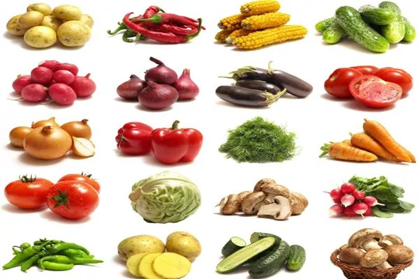 “蔬菜之乡”山东寿光再遭水灾，寿光凭什么被叫做”蔬菜之乡“？