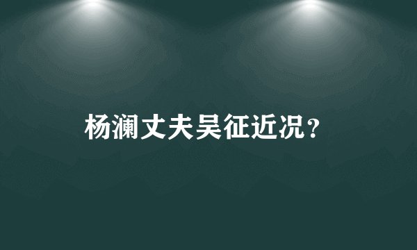 杨澜丈夫吴征近况？