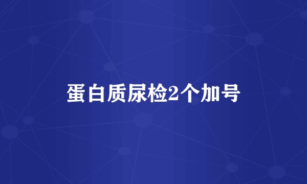 蛋白质尿检2个加号