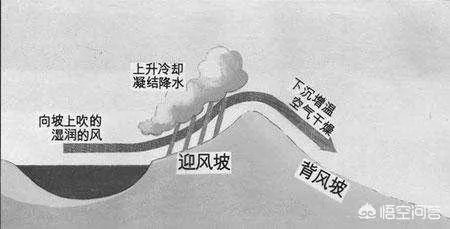 为什么阿尔卑斯山北坡是迎风坡?