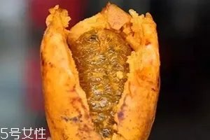 牛卵坨籽可以吃吗？看看它的神奇功效