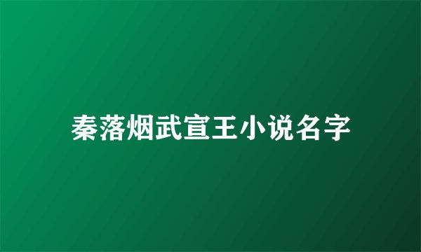 秦落烟武宣王小说名字