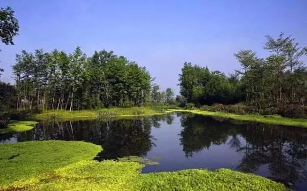 污水处理什么滤料效果好