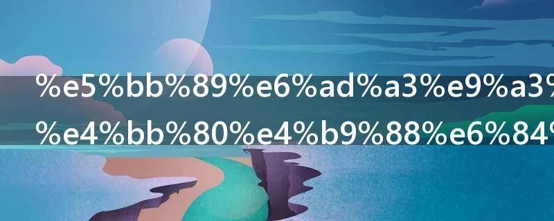 廉正风云是什么意思