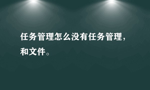 任务管理怎么没有任务管理，和文件。
