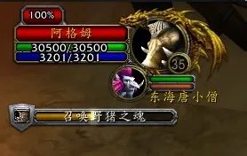 野猪之魂/灵魂野猪在哪抓？