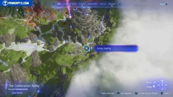 《阿凡达潘多拉边境》塔休幼苗位置汇总 塔休幼苗收集攻略