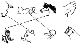 Use your brain to find the missing part and draw lines（动动脑筋，猜猜看，把小动物丢掉的部分找回来，并连线）