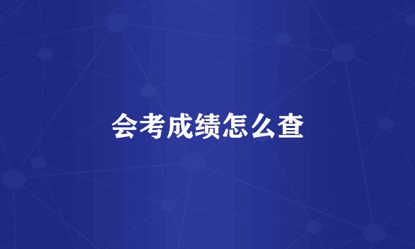 会考成绩怎么查