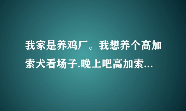 我家是养鸡厂。我想养个高加索犬看场子.晚上吧高加索犬撒开的时候会不会吃鸡？