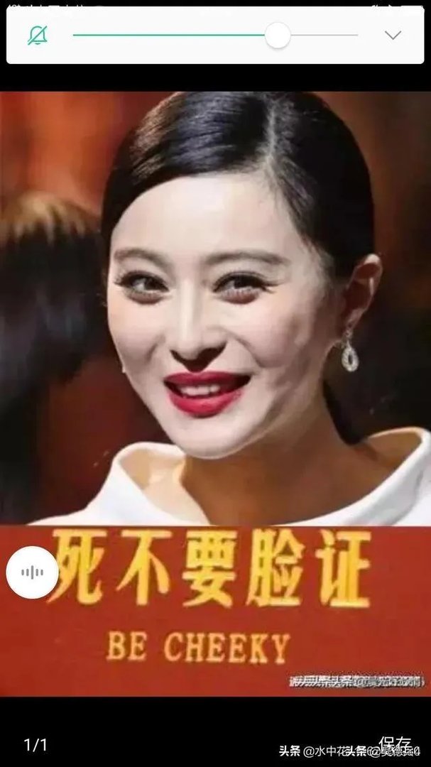 有没有关于范冰冰的图片？