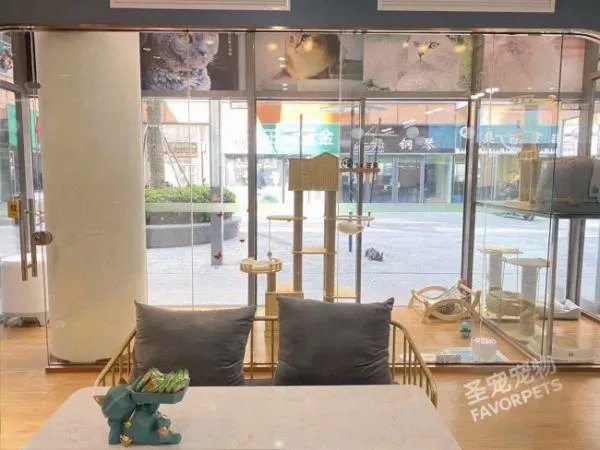 开宠物店需要什么手续和证件？